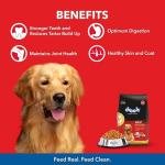 Drools Chicken and Egg Adult Dry Dog Food, 10kg