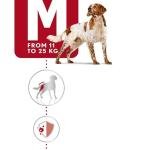 Royal Canin Medium Adult Dogs Meat Granule, 4 kg