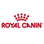 Royal Canin Shih Tzu Puppy Dry Dog Food, Meat Flavor, 1.5 Kg (02RCSHJ1.5),Pack of 1
