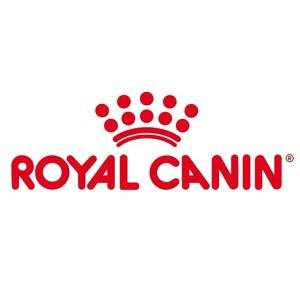 Royal Canin Shih Tzu Puppy Dry Dog Food, Meat Flavor, 1.5 Kg (02RCSHJ1.5),Pack of 1