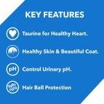 Drools Kitten(1-12 Months) Dry Cat Food, Ocean Fish, 1.2kg with Free Container