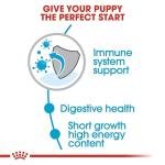 Royal Canin Medium Puppy Dry Dog Food, Meat Flavour, 1 Kg,Pack of 1
