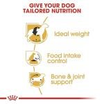 Royal Canin Pellet Beagle Adult Dog Food, Meat Flavour, 3 KG,Pack of 1