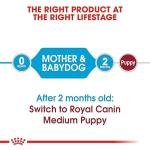 Royal Canin Medium Starter Pellet Dog Food, Meat Flavor, 1 Kg, 1 Count