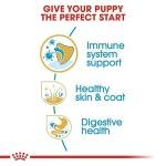 Royal Canin Shih Tzu Puppy Dry Dog Food, Meat Flavor, 1.5 Kg (02RCSHJ1.5),Pack of 1