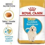 Royal Canin Golden Retriver Junior Pellet Dog Food, Meat Flavor, 3 Kg,Pack of 1