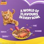 Friskies Surfin' Favourites Adult Dry Cat Food, 6kg, Contains Mackerel, Tuna, Salmon & Sardine Flavours