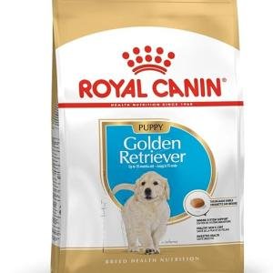 Royal Canin Golden Retriver Junior Pellet Dog Food, Meat Flavor, 3 Kg,Pack of 1