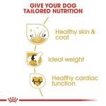 Royal Canin Cocker Pellet Adult Dog Food, Meat Flavor, 3 Kg,Pack of 1