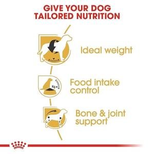 Royal Canin Pellet Beagle Adult Dog Food, Meat Flavour, 3 KG,Pack of 1