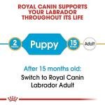 Royal Canin Labrador Retriever Puppy Pellet Dog Food, 1000 g