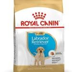 Royal Canin Labrador Retriever Puppy Pellet Dog Food, 1000 g