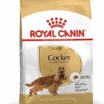 Royal Canin Cocker Pellet Adult Dog Food, Meat Flavor, 3 Kg,Pack of 1