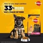 Pedigree PRO Puppy Large Breed, 10 kg Dry Dog Food, Vet Trusted Brand, Expert Nutrition, Quality Protein, 33% More Nutrients (3-18 Months)
