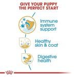 Royal Canin Golden Retriver Junior Pellet Dog Food, Meat Flavor, 3 Kg,Pack of 1