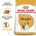 Royal Canin Pellet Beagle Adult Dog Food, Meat Flavour, 3 KG,Pack of 1