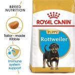 Royal Canin Rottweiler Junior Pellet Dog Food, Variety Flavor, 3 Kg,Pack of 1